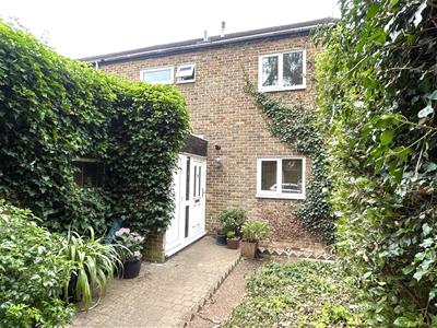 Picture 25